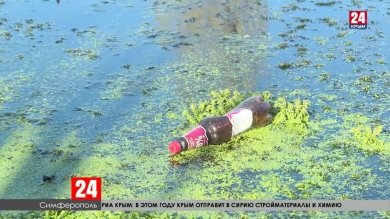 В Симферополе ищут деньги на очистку Даниловского пруда