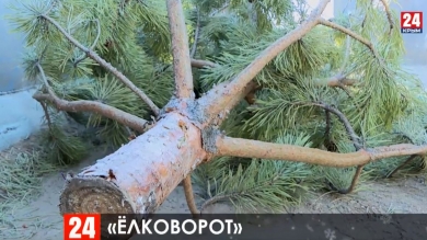 Куда в Симферополе нести новогоднюю ёлку после праздников