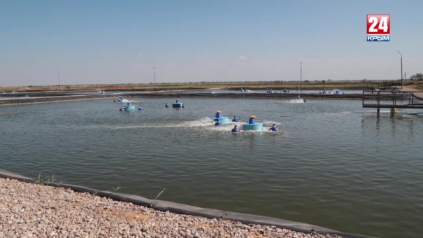 Вести с полей. Выпуск от. 5.08.19