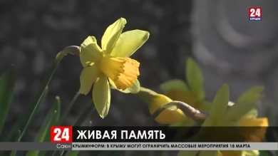 Новости 24 выпуск 16:00 14.03.20