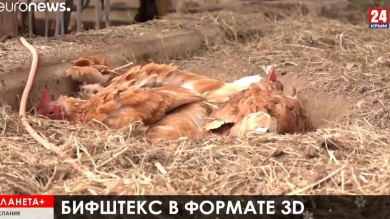 Молодёжные протесты в Индии и Ираке, призыв Сирии к совместной борьбе с гегемонией США, стейки из 3-D принтеров в Испании