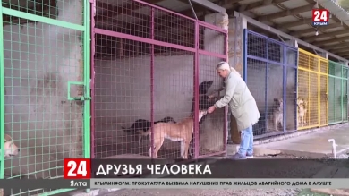 Новости Ялты. Выпуск от 28.02.20