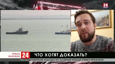 Примут ли во внимание аргументы украинской стороны в Гааге?