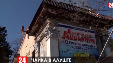 В Алуште заброшенный летний кинотеатр переоборудуют в гостиницу