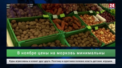 Экономика. Выпуск от 11.10.19