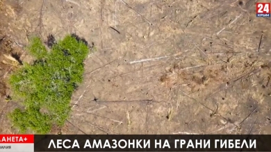 Смертельное ДТП в Англии, суд над экс-президентом в Аргентине, протесты лесных индейцев Бразилии, панихида по 13 военным во Франции