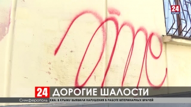 Новости 24 выпуск 15:00 11.11.19