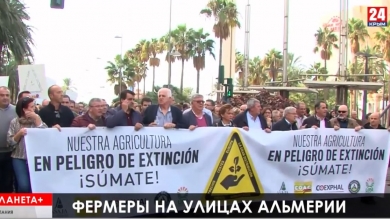 Планета+. Папа Римский в Азии, фермерский протест в Испании, полмиллиона евро за копию 