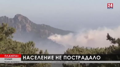 Планета+. Коротко: встреча Путина и Лукашенко, лесные пожары на Корсике, новый айсберг в Антарктике