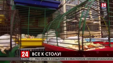 Новости Керчи. Выпуск от 30.12.19