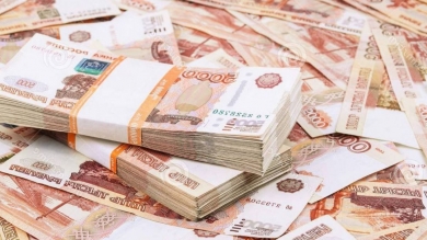 Предприятия Крыма за год получили 103 млн руб. государственных субсидий