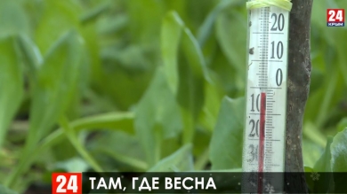 Цветочный бал: 10 тыс бутонов распустились на предприятии 