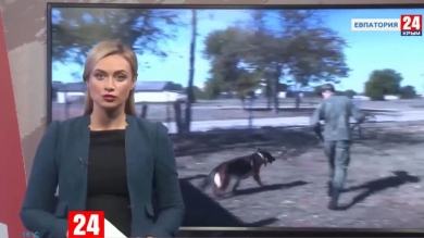 Новости Евпатории. Выпуск от 14.10.19