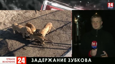 Новости 24. Выпуск в 19:30 от 03.02.20