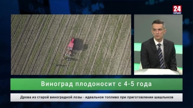 Экономика. Выпуск от 22.11.19