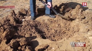 #Чрезвычайный Крым №376