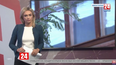 Новости Евпатории. Выпуск от 18.09.19