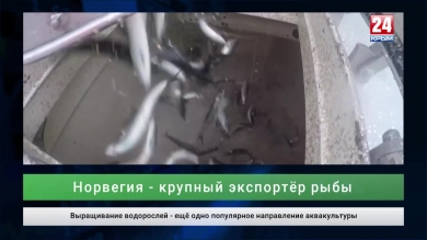 Экономика выпуск от 13.09.19