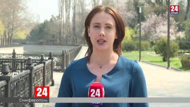 Новости  24 выпуск 17:00 31.03.20