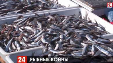 Новости Керчи. Выпуск от 21.10.19