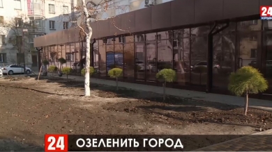 Новости Керчи. Выпуск от 13.11.19