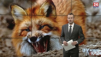 #Чрезвычайный Крым №389