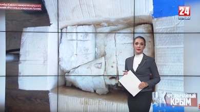 #Чрезвычайный Крым №223