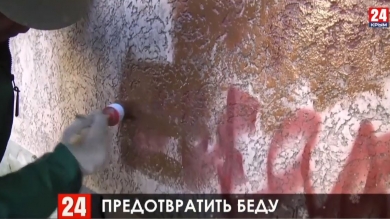 Как в Керчи идёт борьба с распространением наркотиков?