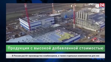 Экономика. Выпуск от 23.12.19