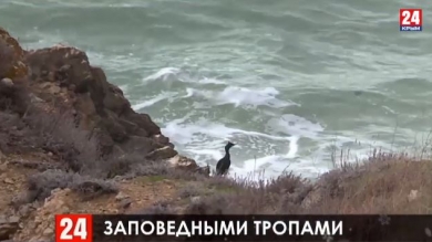 Опукский природный заповедник станет частью дирекции 