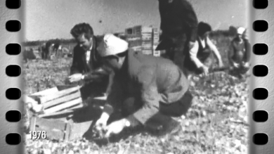 «Эпоха с Сергеем Минчиком». Выпуск № 32