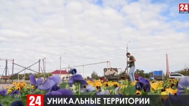 Новости Евпатории. Выпуск от 13.11.19