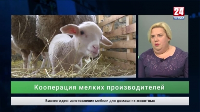 Экономика выпуск от 09.09.19