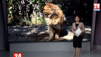 Новости 24 выпуск в 14:00 от 25.09.19