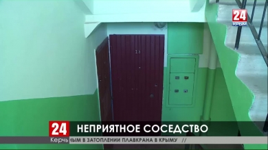 Жители керченской многоэтажки страдают из-за соседа, приютившего десяток кошек
