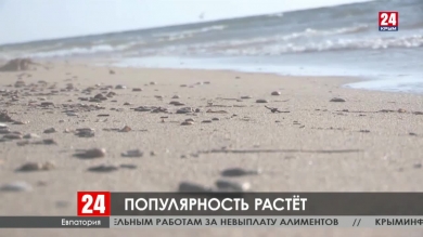 Новости Евпатории. Выпуск от 21.02.20