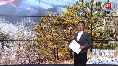 #Чрезвычайный Крым №256