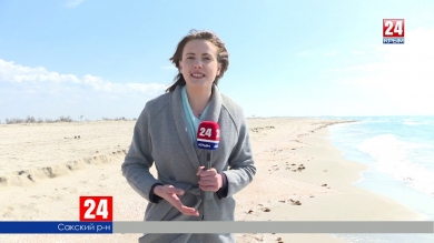 Нужны ли Крыму инвестиции? Жители Сакского района обеспокоены разведением креветок в районе