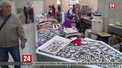 Где хамса? Почему в Керченском проливе до сих пор не стартовала путина?