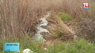 Неделя24.Чистая грязь