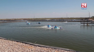 Вести с полей. Выпуск от. 5.08.19