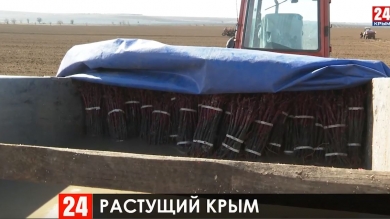 Новости 24 выпуск в 23:00 от 05.03.20