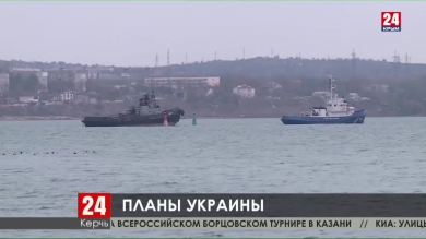 Киев намерен судиться с Москвой в Международном суде