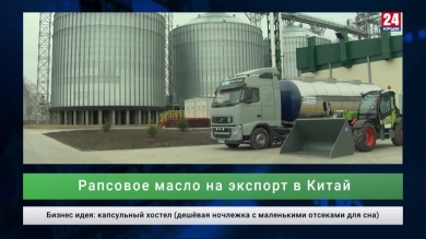 Экономика. Выпуск от 29.11.19