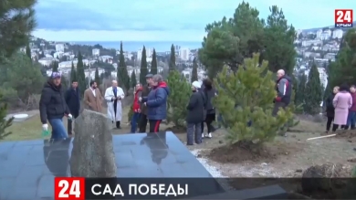 В посёлке под Ялтой в рамках всероссийской акции высадили саженцы крымской сосны