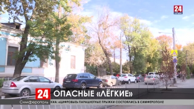 Как в Симферополе следят за аварийными деревьями?