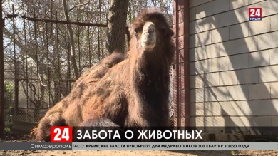 Депутаты проверили состояние обитателя симферопольского зоопарка