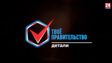 «Твоё Правительство». Детали. Выпуск 4