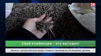 Экономика. Выпуск от 28.02.20