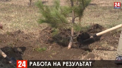 Новости Симферополя. Выпуск от 19.03.20